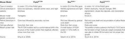 The Neuroprotective Role of Retbindin, a Metabolic Regulator in the Neural Retina